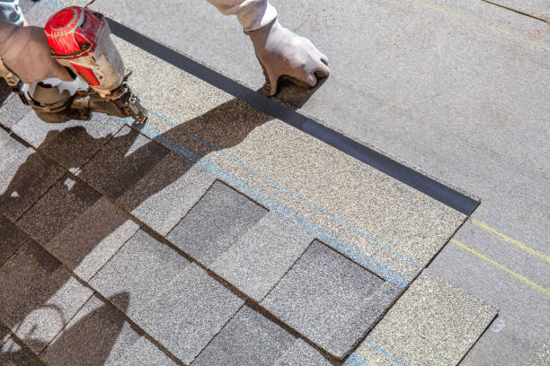 Best Metal Roofing Contractor  in Columbus Af, MS