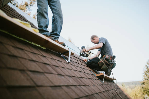 Professional Roofing Contractor in Columbus Af, MS